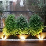 Aprèn a il·luminar bé un habitatge