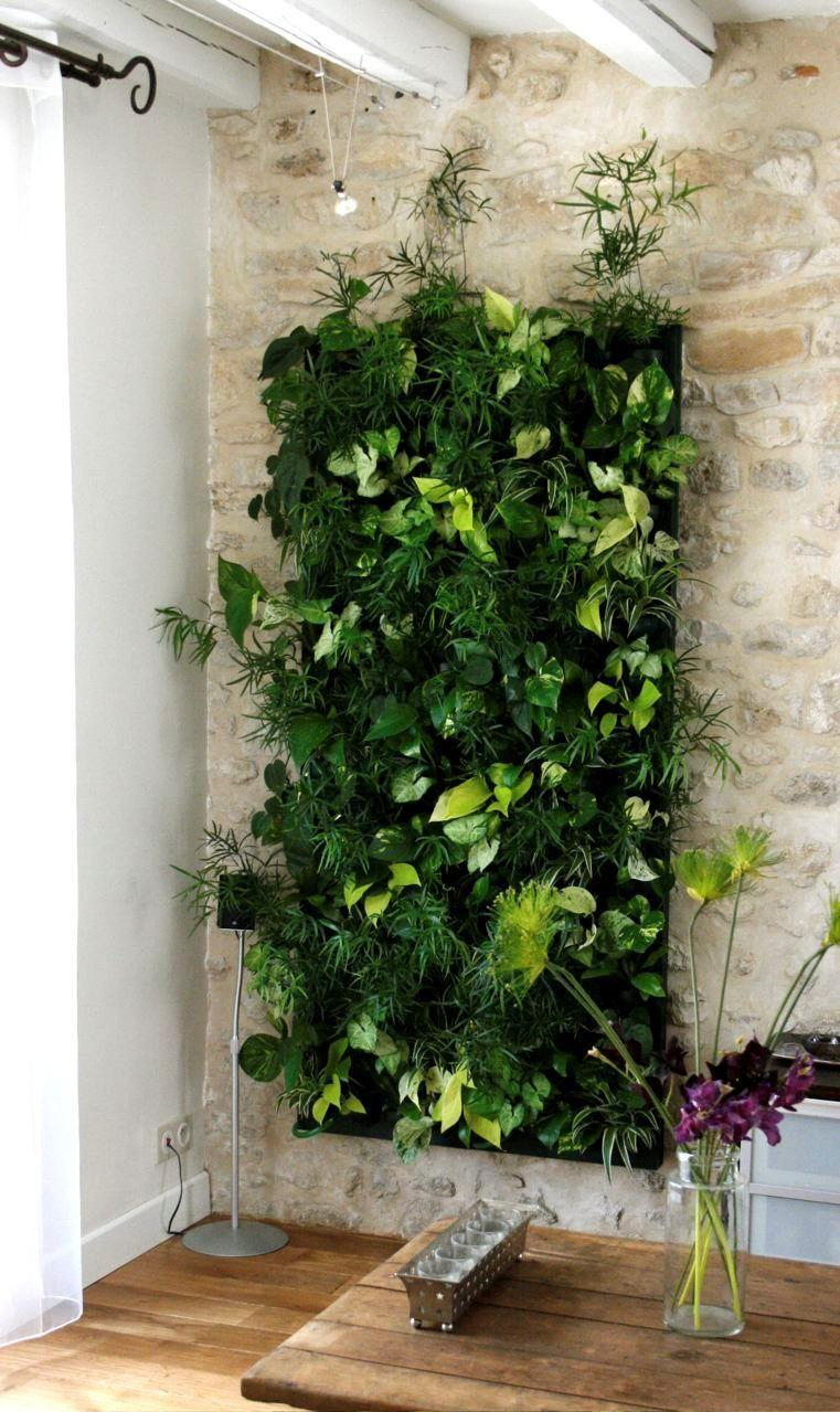 Com fer un jardí vertical en el teu pis de lloguer